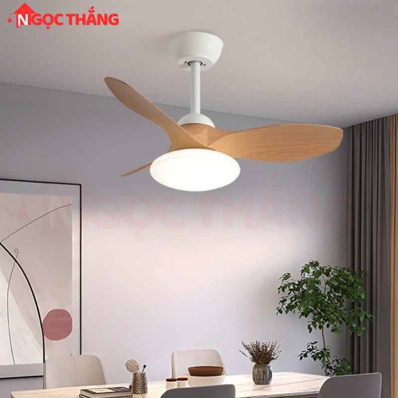 Quạt Trần 3 Cánh Nhựa Đèn Led 3 Màu Trang Trí Phòng Ngủ Phòng Bếp 20W VF424 Ngọc Thắng - Image 13