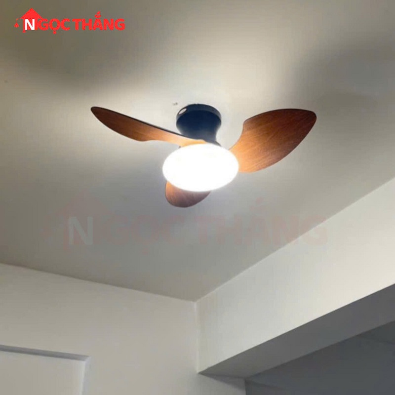 Quạt Trần 3 Cánh Nhựa Đèn Led 3 Chế Độ Màu Trang Trí Phòng Ngủ Phòng Bếp VF904 Ngọc Thắng - Image 10
