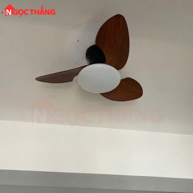 Quạt Trần 3 Cánh Nhựa Đèn Led 3 Chế Độ Màu Trang Trí Phòng Ngủ Phòng Bếp VF904 Ngọc Thắng - Image 2