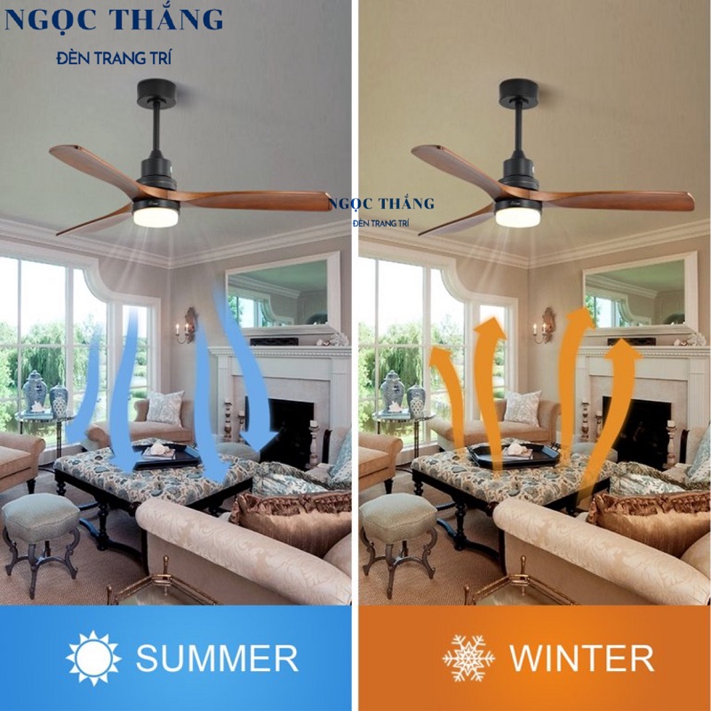 Quạt Trần Đèn Led 3 Cánh Gỗ Trang Trí Sảnh Phòng Khách Cao Cấp QT2010 Ngọc Thắng (Kèm remote điều khiển từ xa) - Hình ảnh 9