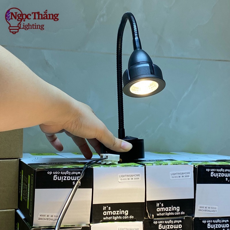 Đèn rọi tranh rọi bể cá gắn tường đọc sách ốp tường phòng ngủ Led 3W 220V PT5801C Ngọc Thắng
