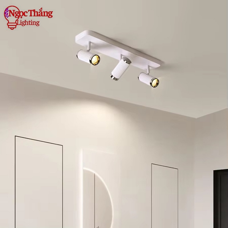 Đèn Led Rọi Tranh 3 Bóng Trang Trí Phòng Ngủ Phòng Khách Led 15W 220V RT9118T3 Ngọc Thắng