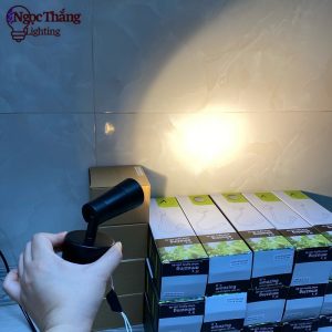 Đèn rọi tranh ảnh gắn tường phòng ngủ phòng khách bảo hành 24 tháng Led vàng 6W PT97A Ngọc Thắng - Ảnh 6