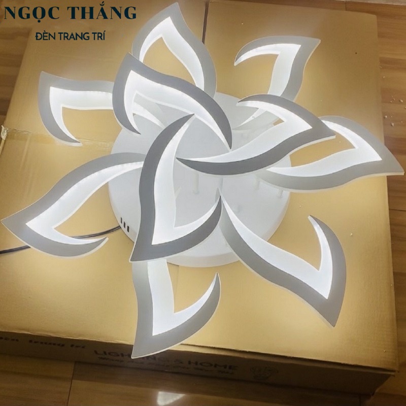 Đèn Mâm LED 10 Cánh Ốp Trần Hiện Đại Trang Trí Phòng Khách MO976 Ngọc Thắng (Tặng kèm remote điều khiển từ xa) - Ảnh 4