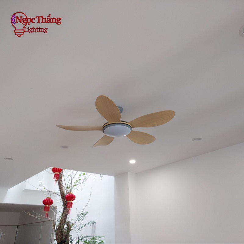Quạt Trần Đèn 5 Cánh Trang Trí Sảnh Phòng Khách Cao Cấp Led 3 Chế Độ Màu VF55 Ngọc Thắng (Kèm remote điều khiển từ xa) - Ảnh 5