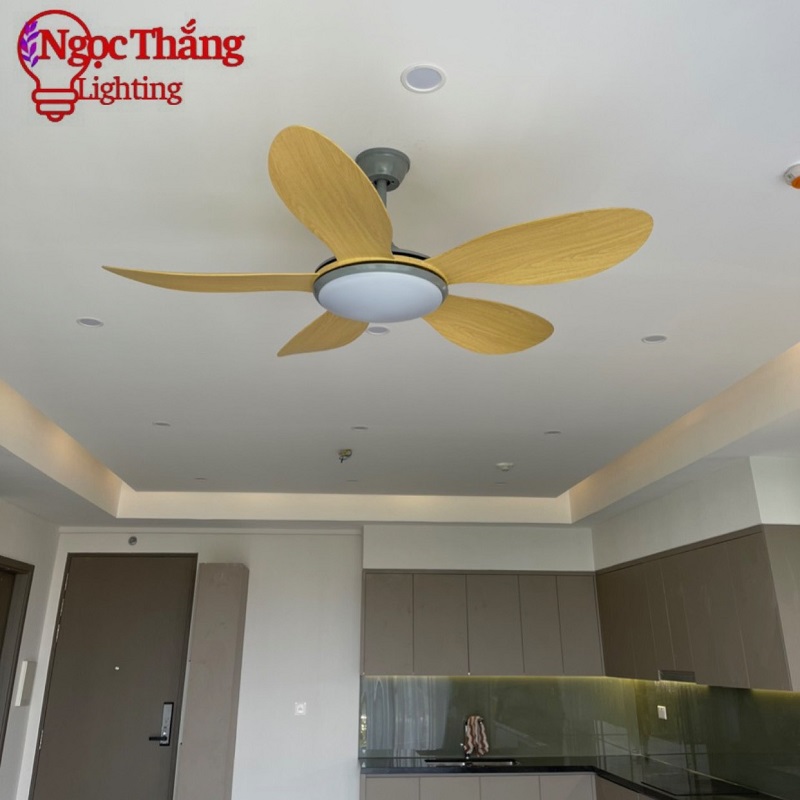 Quạt Trần Đèn 5 Cánh Trang Trí Sảnh Phòng Khách Cao Cấp Led 3 Chế Độ Màu VF55 Ngọc Thắng (Kèm remote điều khiển từ xa) - Ảnh 4