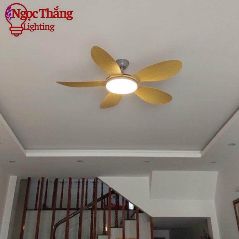 Quạt Trần Đèn 5 Cánh Trang Trí Sảnh Phòng Khách Cao Cấp Led 3 Chế Độ Màu VF55 Ngọc Thắng (Kèm remote điều khiển từ xa) - Ảnh 12