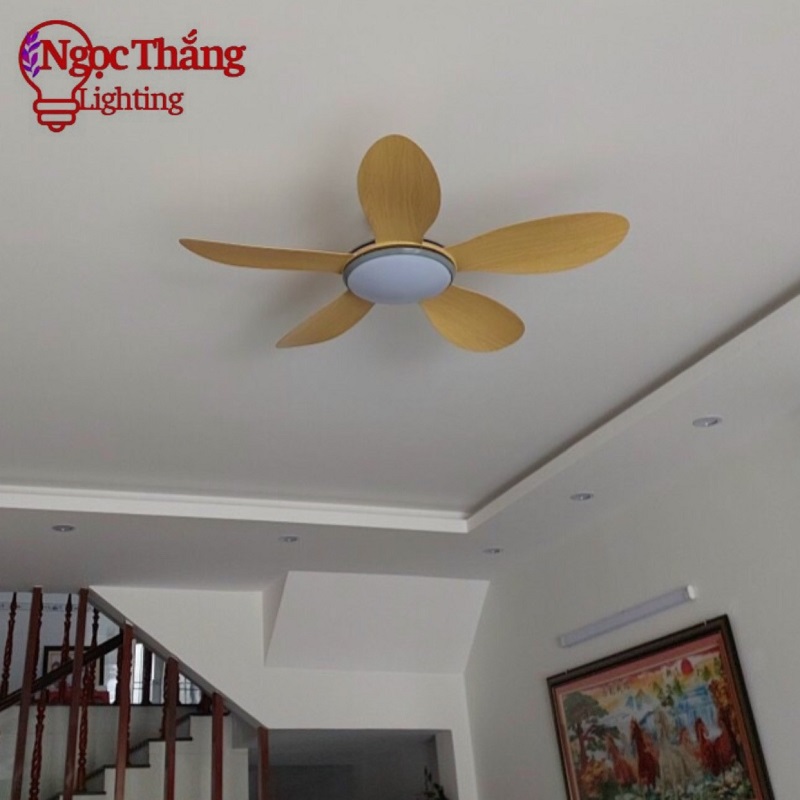 Quạt Trần Đèn 5 Cánh Trang Trí Sảnh Phòng Khách Cao Cấp Led 3 Chế Độ Màu VF55 Ngọc Thắng (Kèm remote điều khiển từ xa) - Ảnh 13