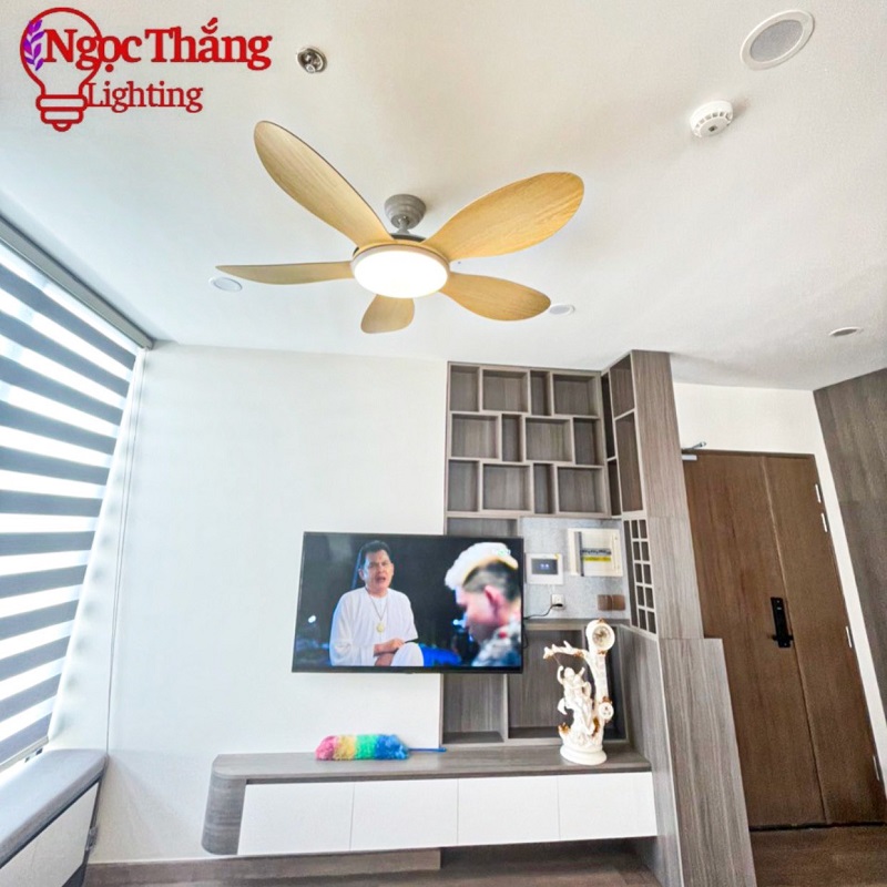 Quạt Trần Đèn 5 Cánh Trang Trí Sảnh Phòng Khách Cao Cấp Led 3 Chế Độ Màu VF55 Ngọc Thắng (Kèm remote điều khiển từ xa) - Ảnh 10