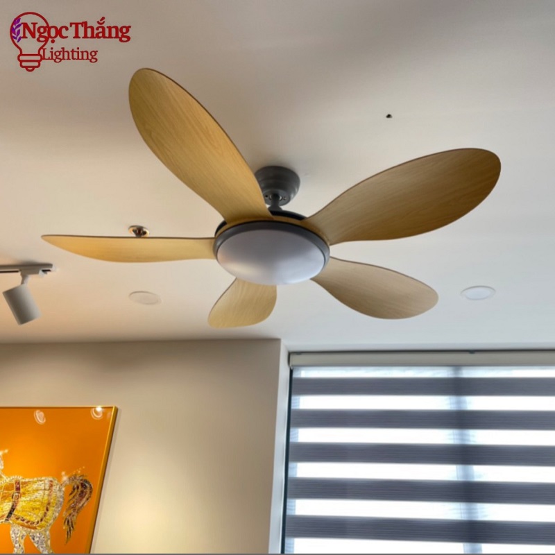 Quạt Trần Đèn 5 Cánh Trang Trí Sảnh Phòng Khách Cao Cấp Led 3 Chế Độ Màu VF55 Ngọc Thắng (Kèm remote điều khiển từ xa) - Ảnh 9