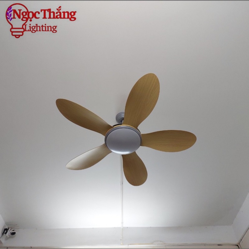 Quạt Trần Đèn 5 Cánh Trang Trí Sảnh Phòng Khách Cao Cấp Led 3 Chế Độ Màu VF55 Ngọc Thắng (Kèm remote điều khiển từ xa) - Ảnh 8