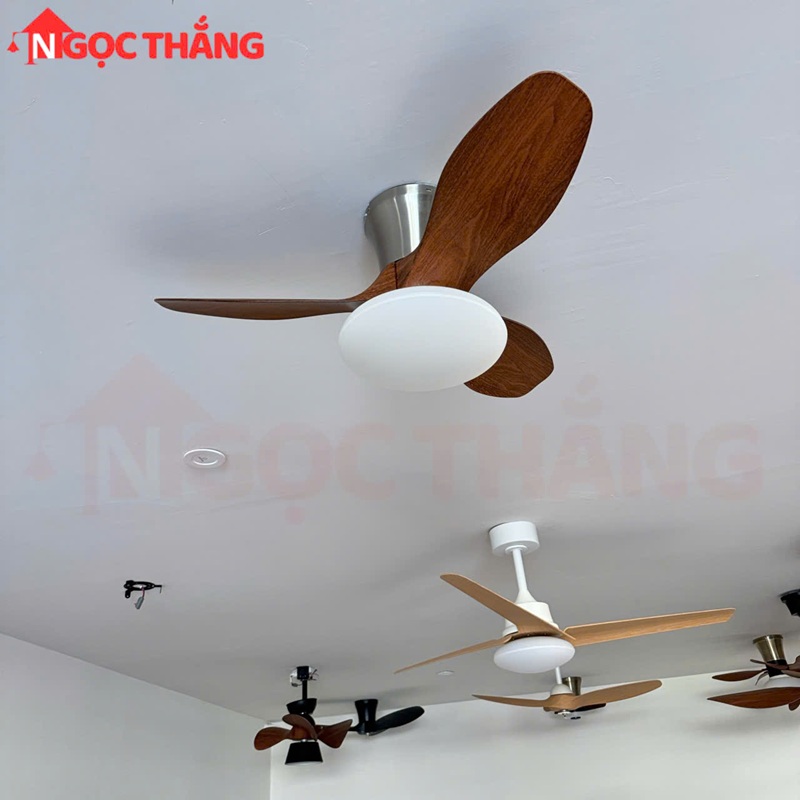 Quạt Trần Đèn 3 Cánh Nhựa ABS 80cm Cao 25cm Trang Trí Phòng Khách Phòng Ngủ VF906 Ngọc Thắng - Ảnh 4