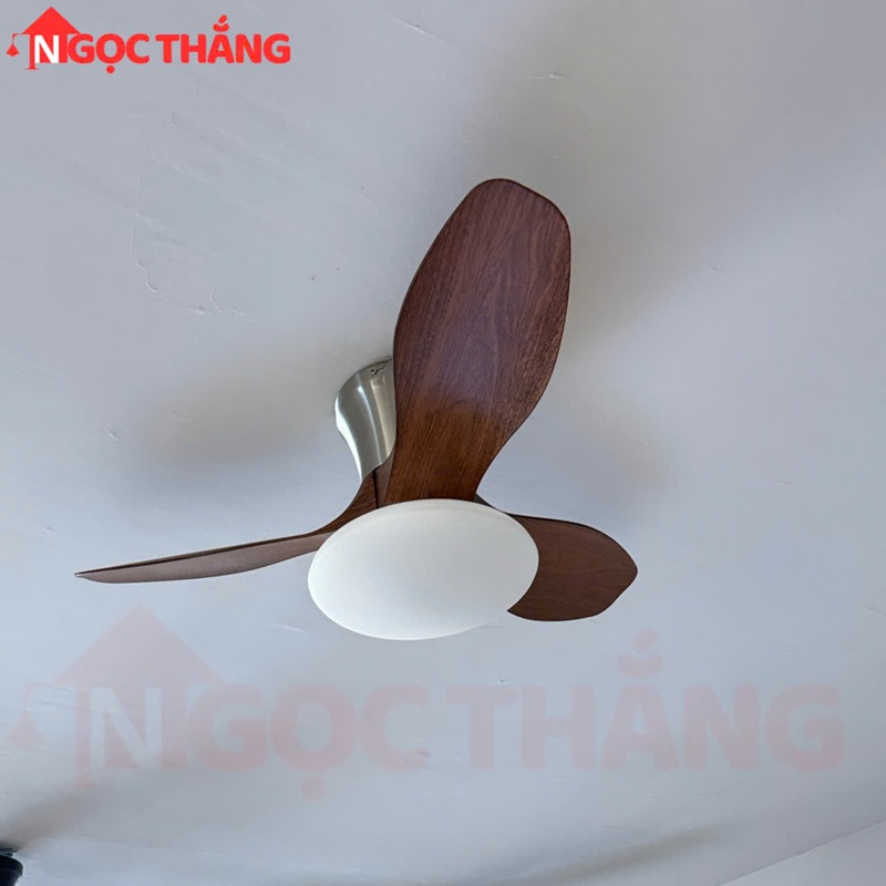 Quạt Trần Đèn 3 Cánh Nhựa ABS 80cm Cao 25cm Trang Trí Phòng Khách Phòng Ngủ VF906 Ngọc Thắng - Ảnh 2