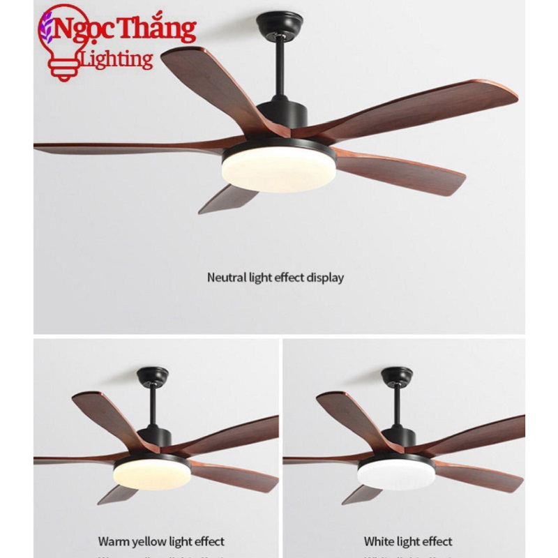 Quạt Trần Đèn 5 Cánh Trang Trí Sảnh Phòng Khách Cao Cấp Led 3 Chế Độ Màu VF94 Ngọc Thắng (Kèm remote điều khiển từ xa) - Ảnh 5