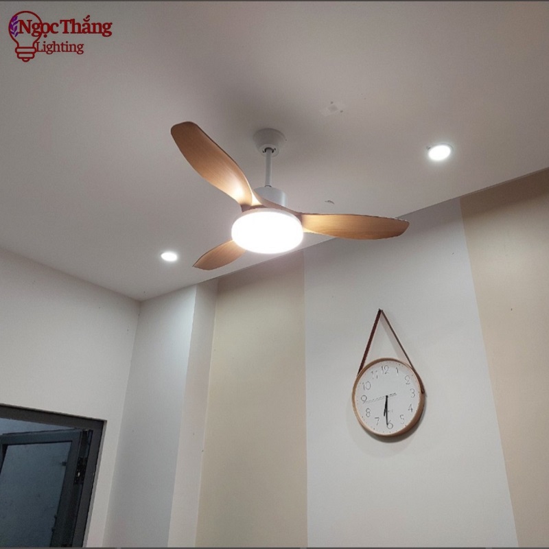 Quạt Trần Đèn Led 3 Cánh Nhựa ABS Trang Trí Sảnh Phòng Khách Cao Cấp VF14 Vàng Ngọc Thắng - Ảnh 9