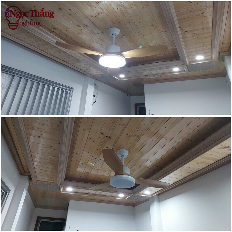 Quạt Trần Đèn Led 3 Cánh Nhựa ABS Trang Trí Sảnh Phòng Khách Cao Cấp VF14 Vàng Ngọc Thắng - Ảnh 5