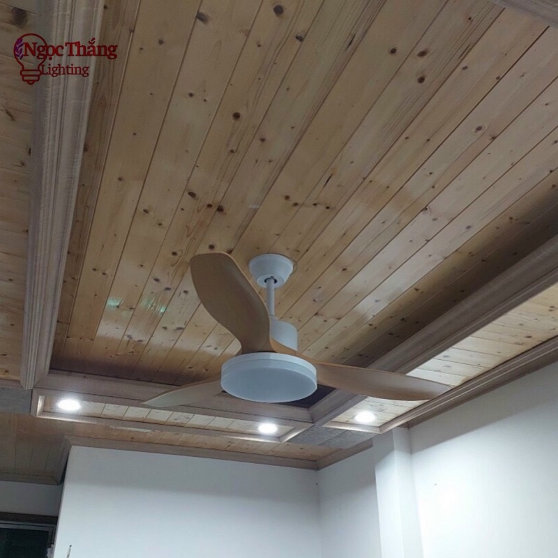 Quạt Trần Đèn Led 3 Cánh Nhựa ABS Trang Trí Sảnh Phòng Khách Cao Cấp VF14 Vàng Ngọc Thắng - Ảnh 4