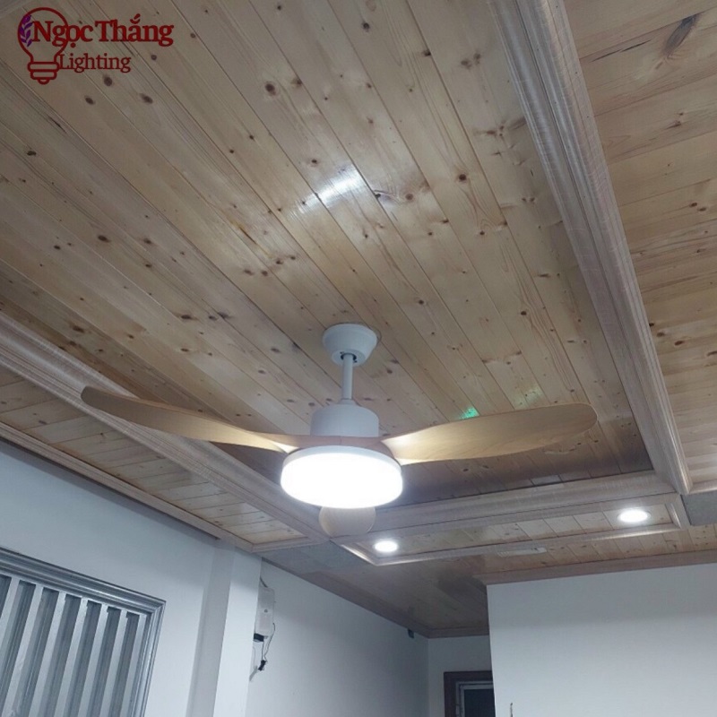 Quạt Trần Đèn Led 3 Cánh Nhựa ABS Trang Trí Sảnh Phòng Khách Cao Cấp VF14 Vàng Ngọc Thắng - Ảnh 3