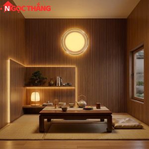 Đèn ốp trần phong cách Hàn Quốc trang trí phòng khách phòng ngủ trong nhà 220V MT2408 Tân Phát - Ảnh 9